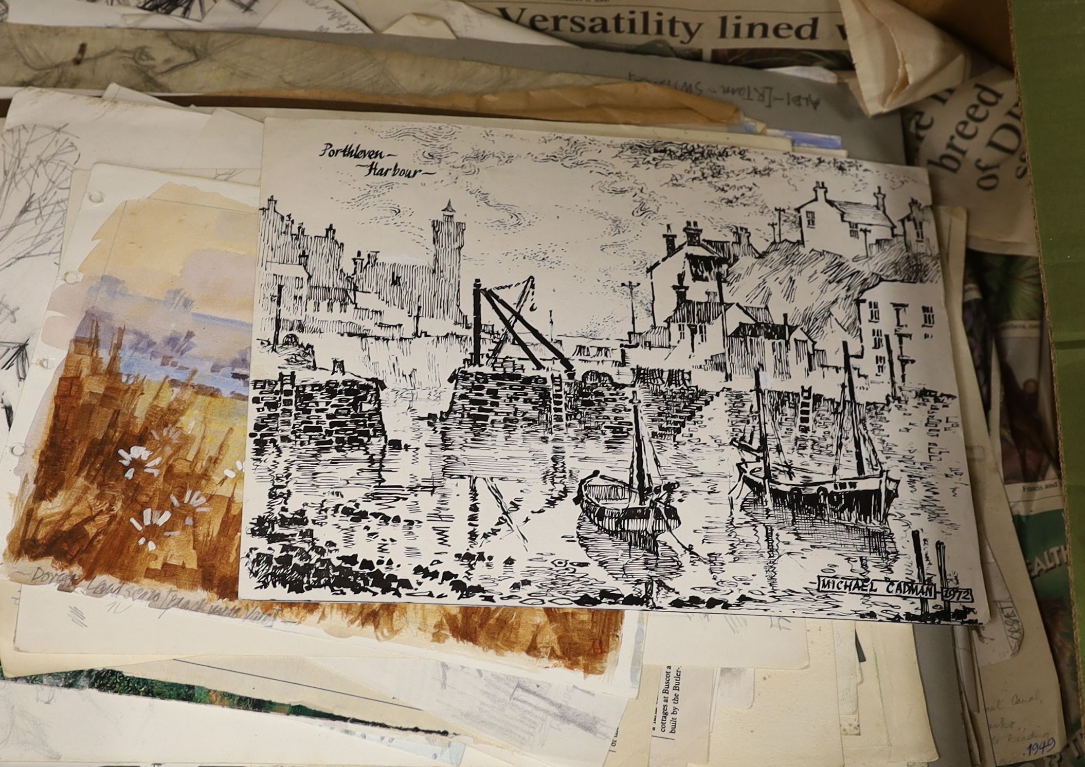 Michael Lawrence Cadman (1920-2010), small group of unframed watercolours, Botanical studies, largest 78 x 58cm